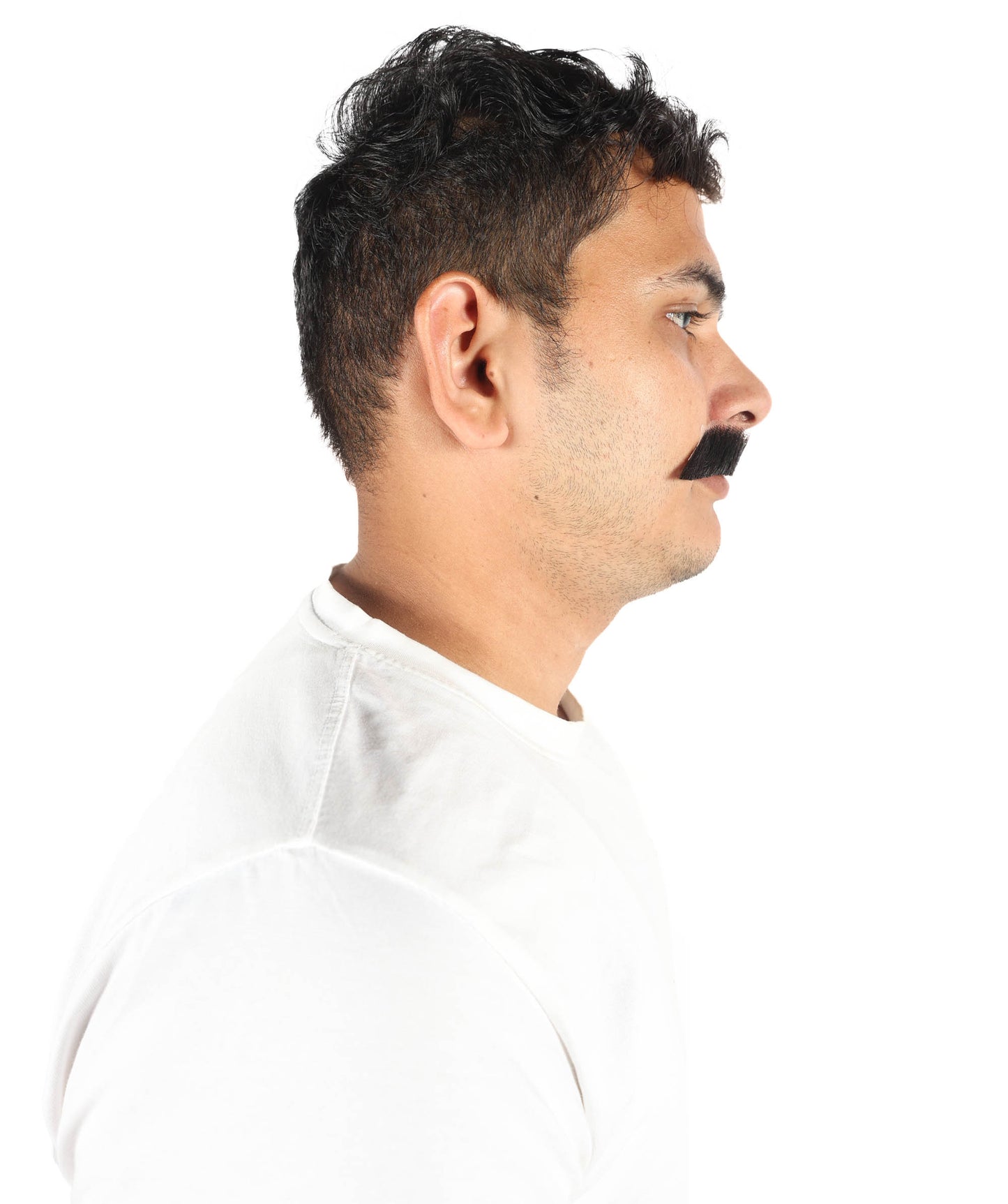 HPO Men's German Physicist Mustache Set Gray Fancy Facial Hair