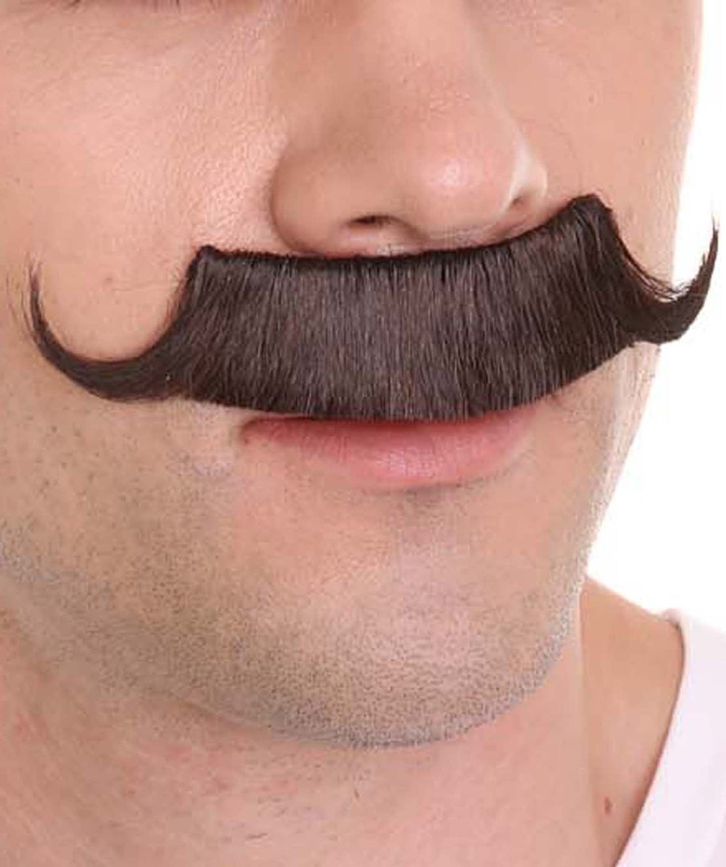 Hedgehog Curly Mustache