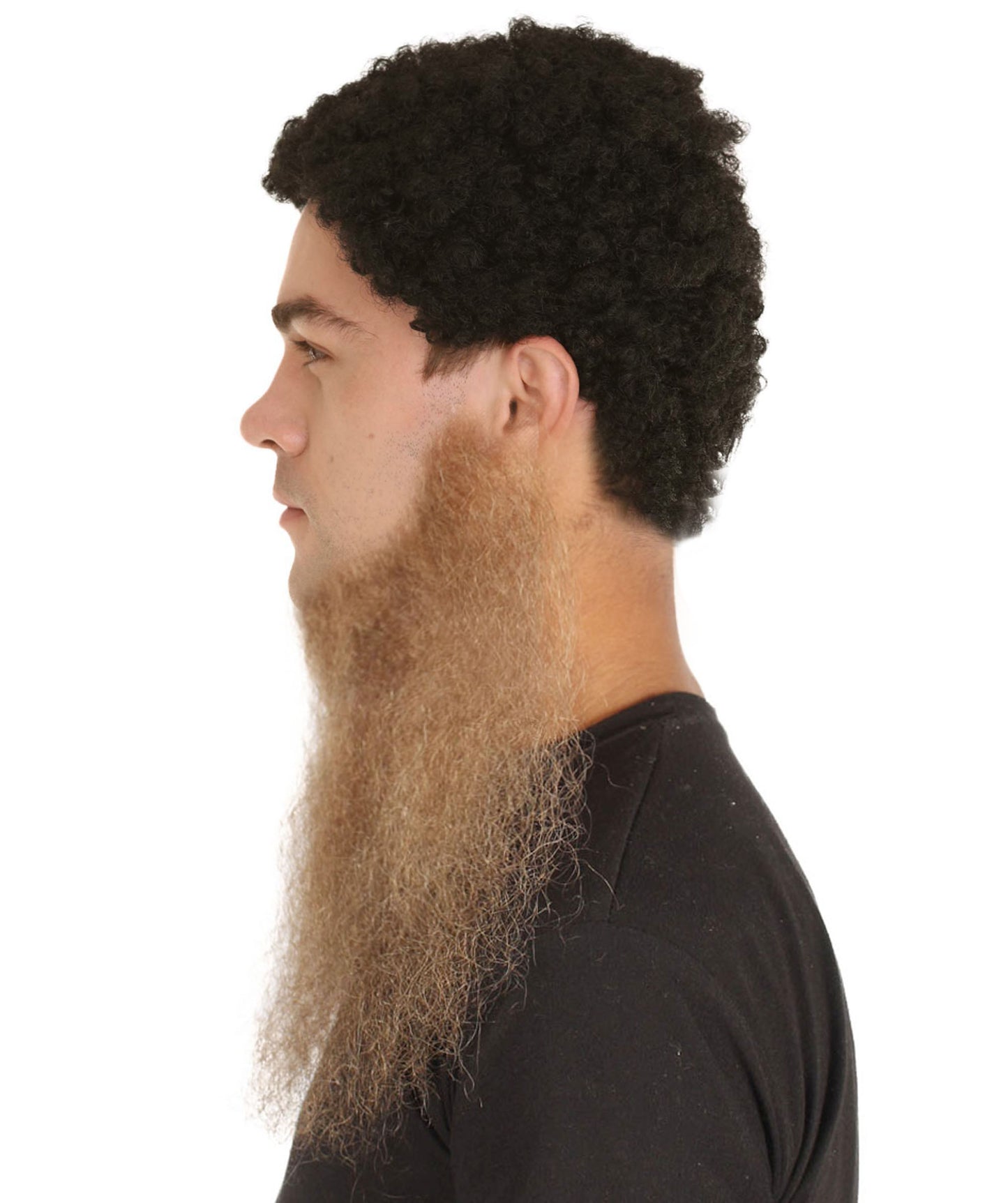 Men's Long Beard Fade Styles | Brown Fancy Facial Hair