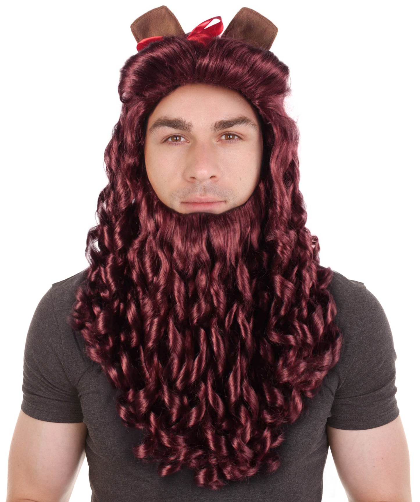 Men's Lion Wig | Multiple Color Options Fancy Wig