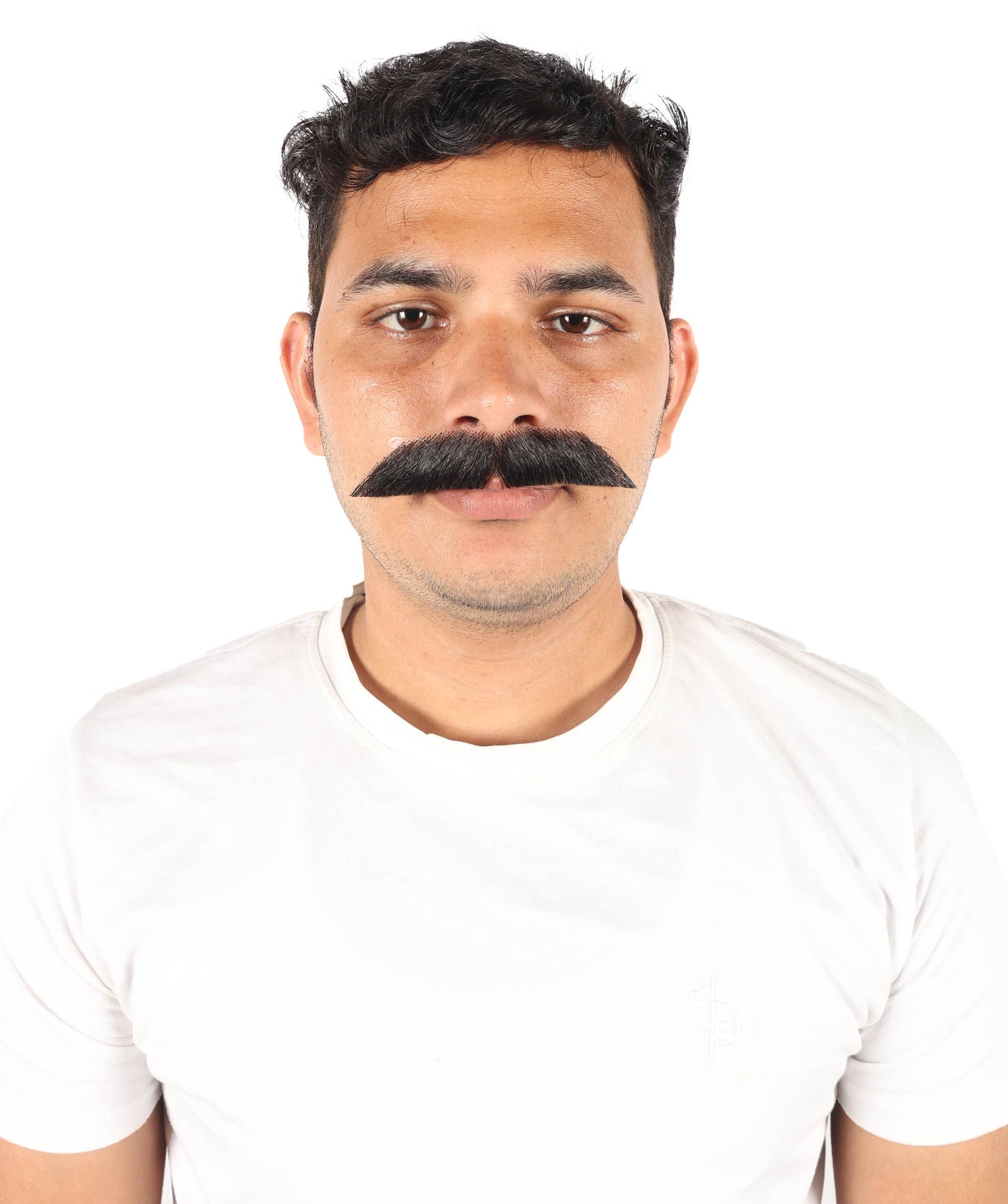 HPO Men's German Physicist Mustache Set Gray Fancy Facial Hair