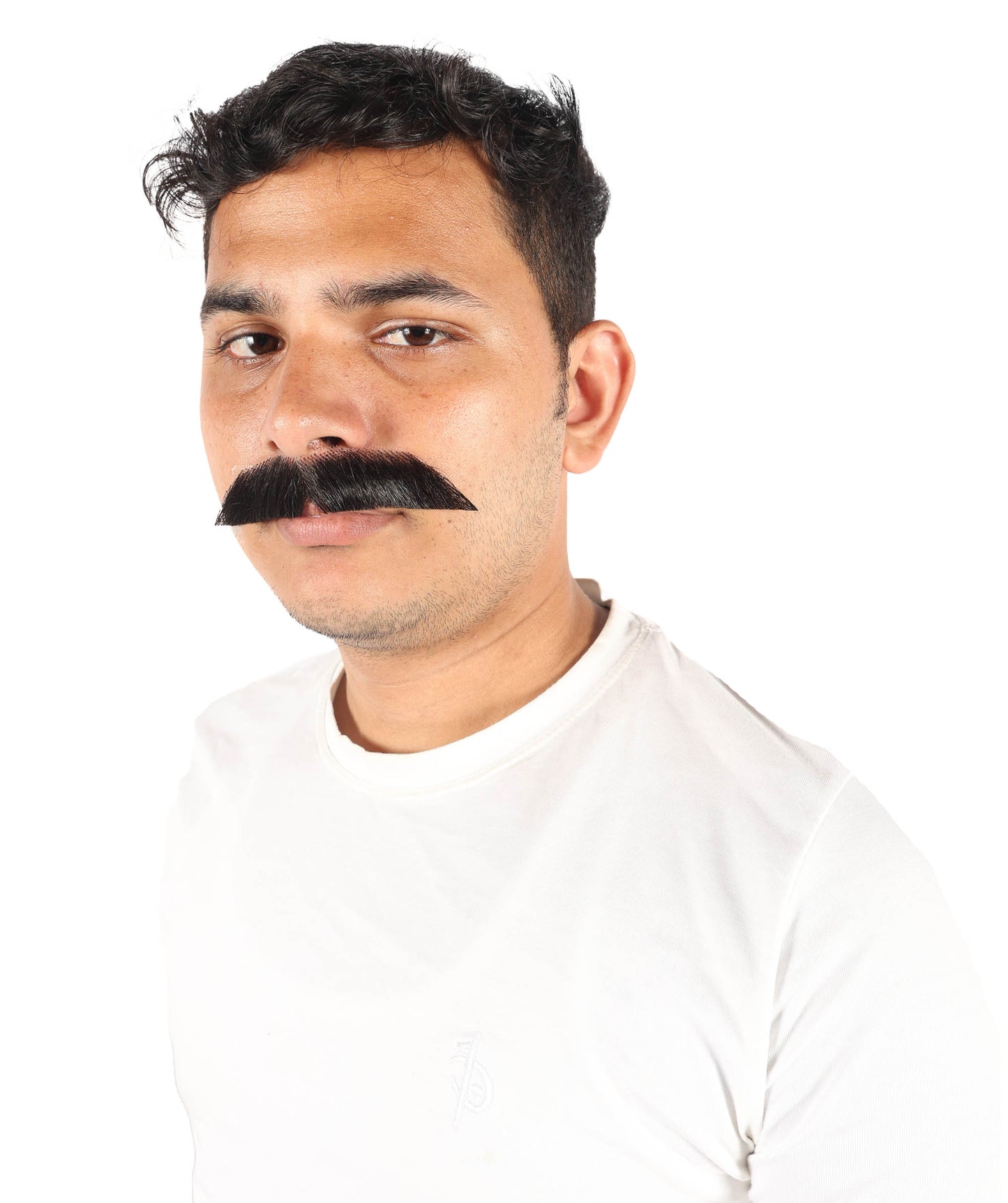 HPO Men's German Physicist Mustache Set Gray Fancy Facial Hair