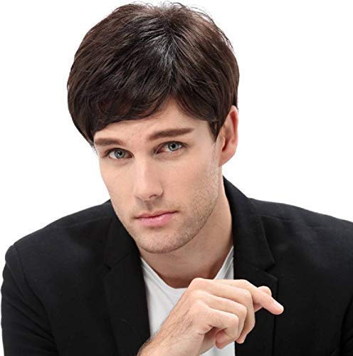 HPO Adult Male WIG 70's Dude – Retro Straight Brown Wig, Breathable Capless Cap, Flame-retardant Synthetic Fiber | HPO