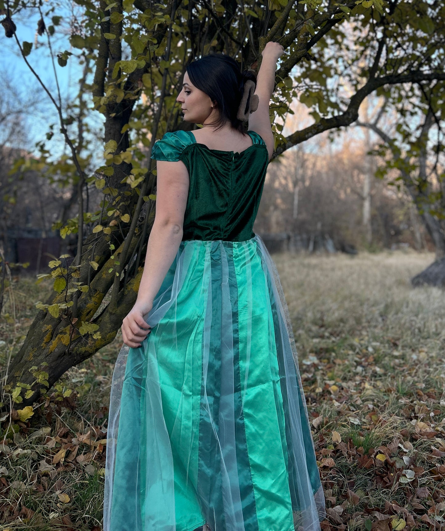 Women’s Animated Movie Ann Sister Green and Blue Gown Costume| Flame-retardant Synthetic Materials