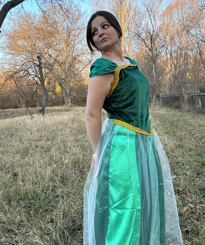 Women’s Animated Movie Ann Sister Green and Blue Gown Costume| Flame-retardant Synthetic Materials