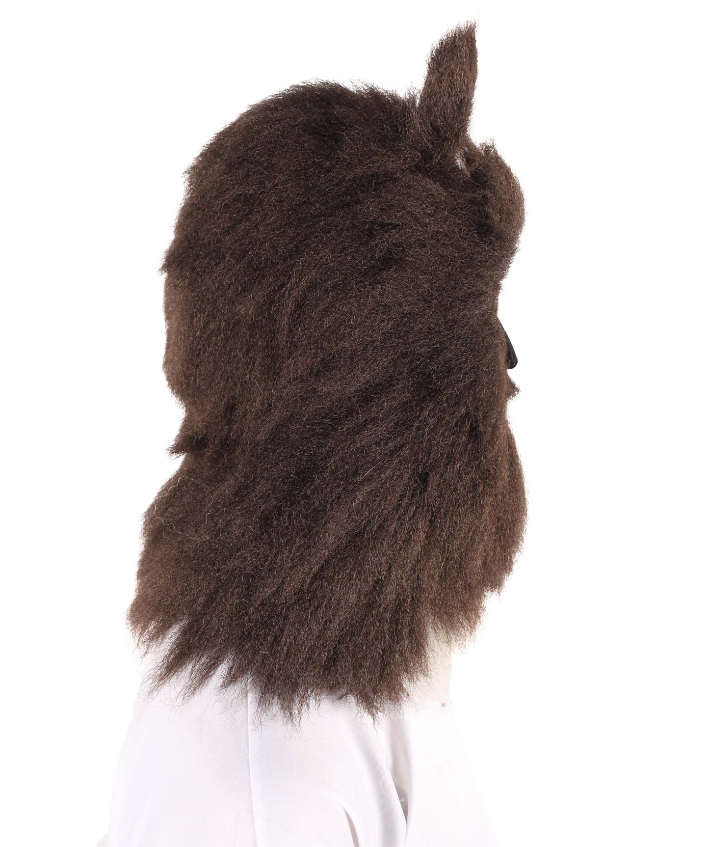 Unisex Dark Brown Grizzly Bear Mask