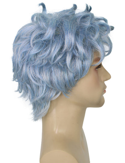Men's 11" Inch Medium Length Straight Halloween Hero Villain Wig, Synthetic Soft Fiber Hair, Perfect for your next Conventiton and Group Anime Party! | HPO