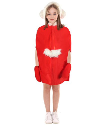 HPO Adult/Teen Women’s Festive Winter Character Costume | Red Holiday Dress with Faux Fur Trim | Lightweight Breathable Fabric –  for Parties & Stage