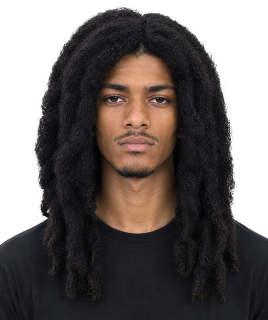 HPO Men's Famous Singer Black Dreadlocks Wig | Halloween Wig | Flame-retardant Synthetic Fiber