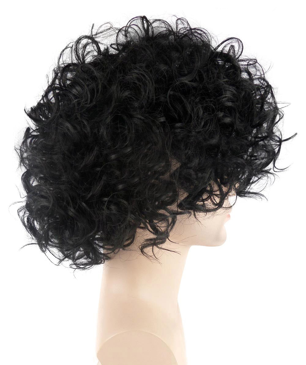 HPO Adult Men's Prince of Pop Short Black Curly Singer Wig | Black Curly Celebrity Halloween Wig