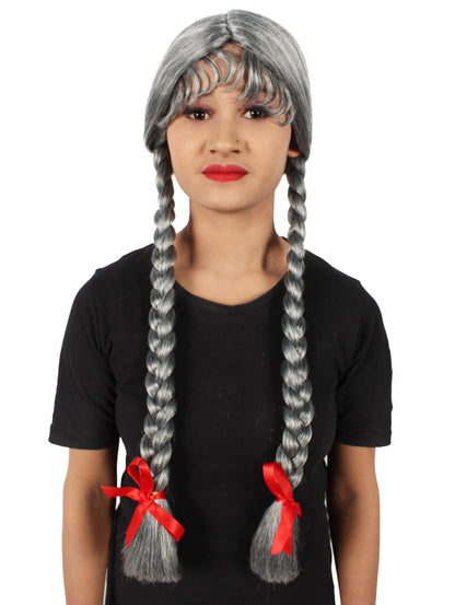 Grey Multiple Colors Option Long Braided Wig