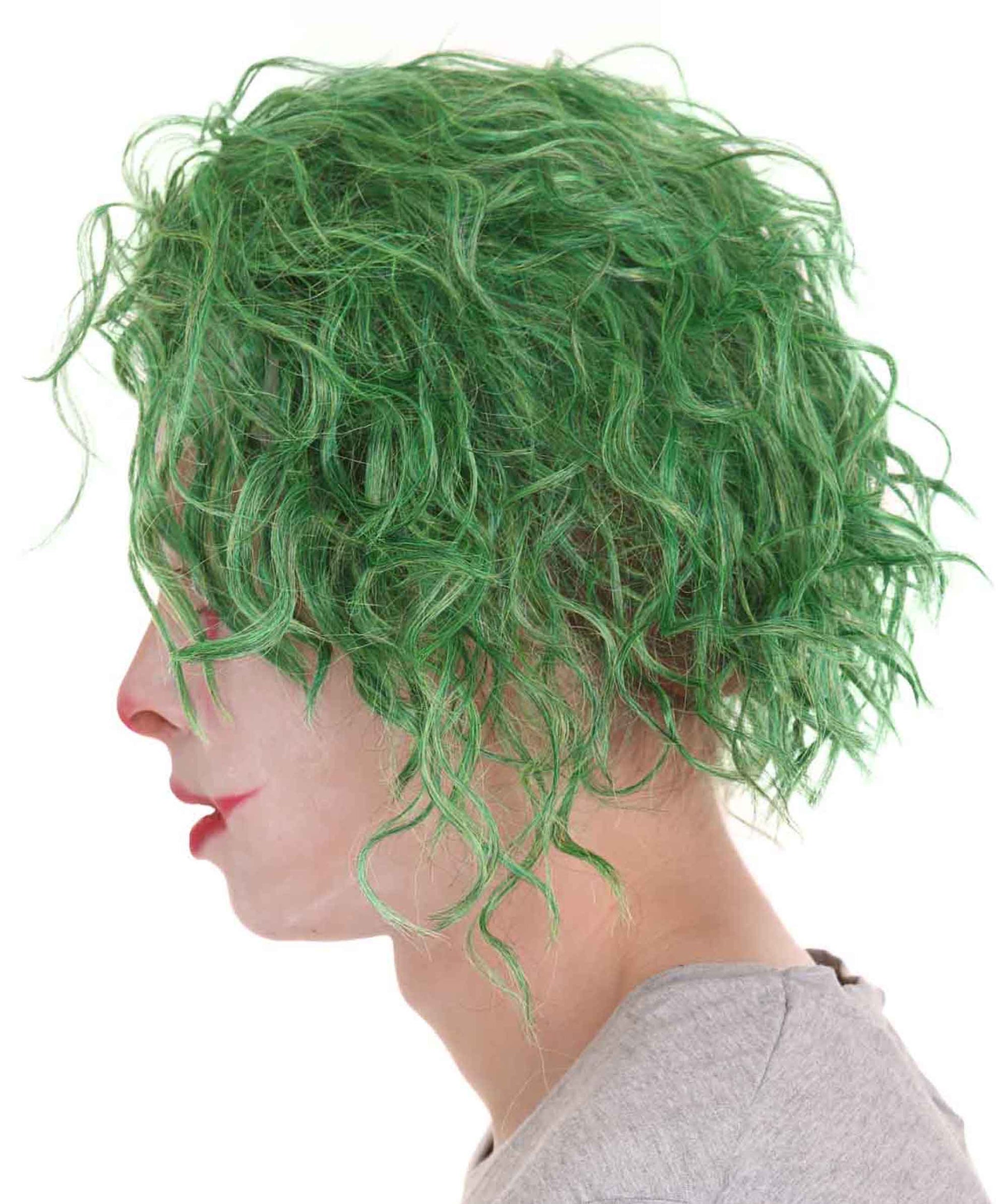 Men's TV Movie Jocker Green Wigs