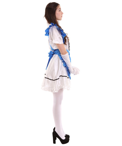 French Maid Royal Blue Uniform Costume 