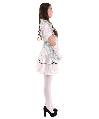 Silver French Maid Costume 