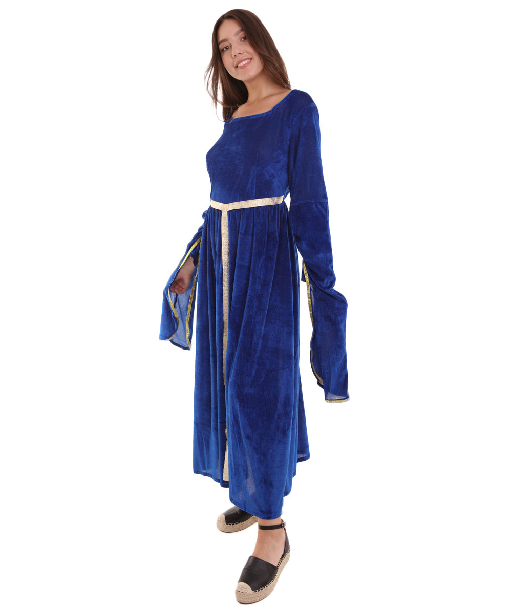 Women's Lady Guinevere  Medieval Renaissance Costume | Blue Fancy Costume