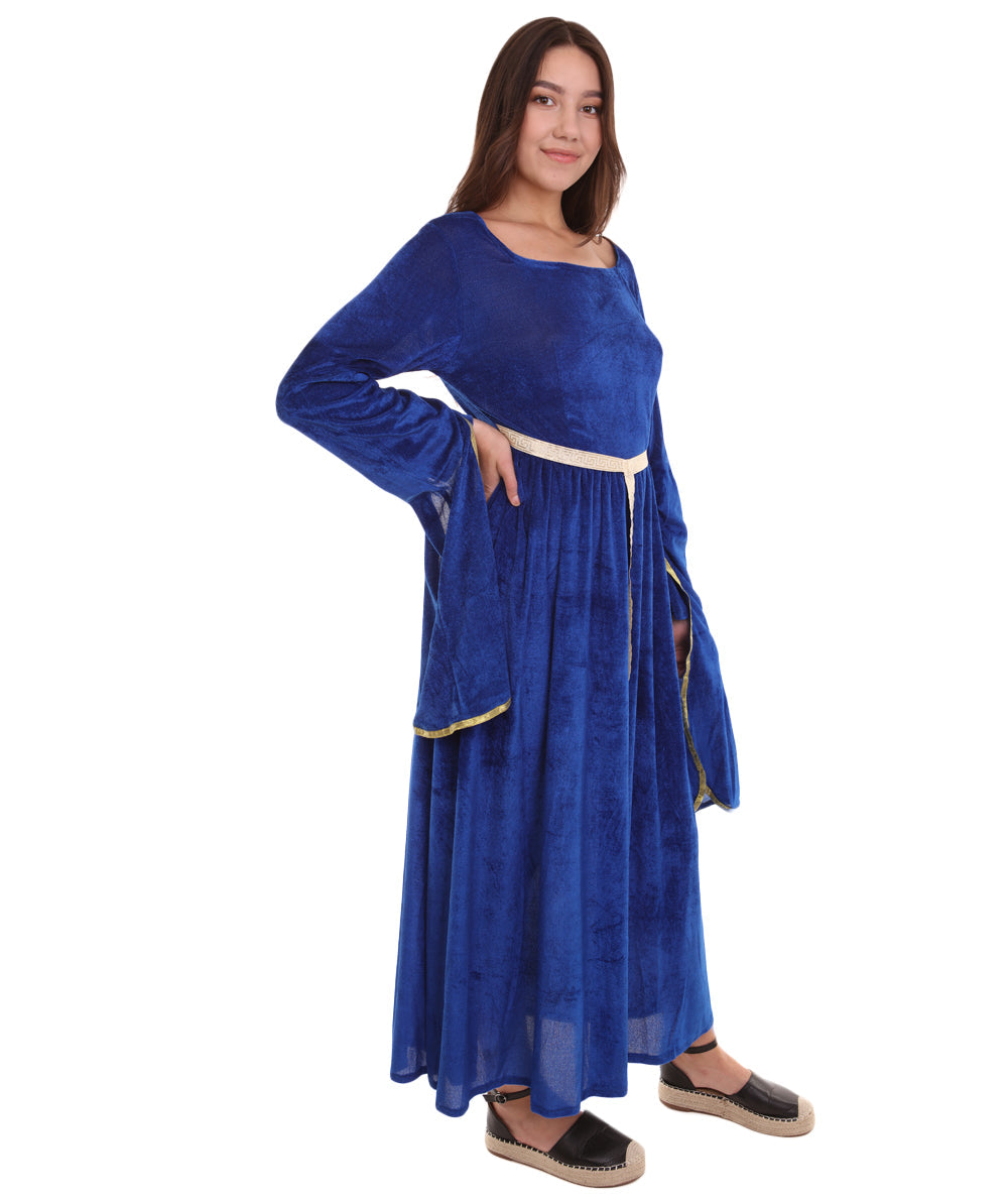 Women's Lady Guinevere  Medieval Renaissance Costume | Blue Fancy Costume