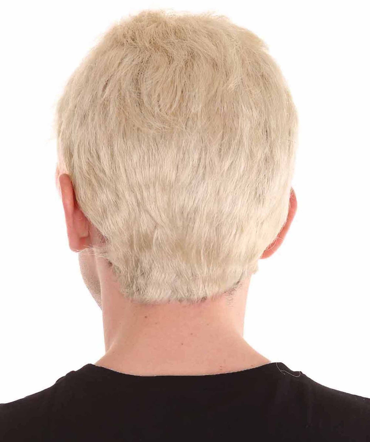 Blonde Men Fancy Wig