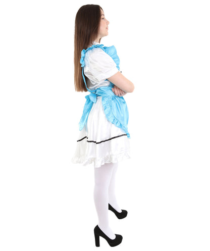 French Maid Lake Blue Costume