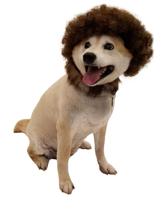Adorable Painter Curly Afro Pet Wig Set with Beard & Moustache | Funny Pet Costume for Dogs