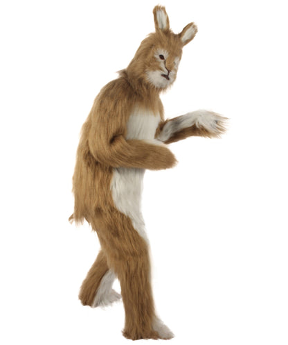 Rabbit Costume with Mask