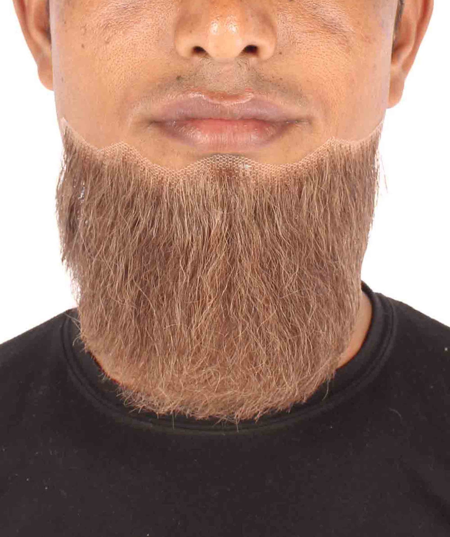 Darwin Hoefler Beard