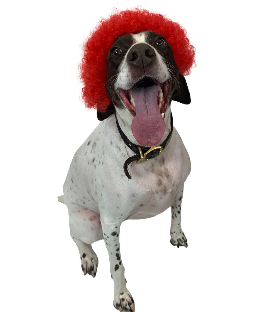 red pet afro wig