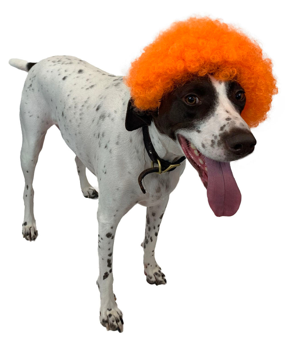 Orange Pet Afro Wig