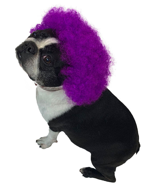 purple pet afro wig