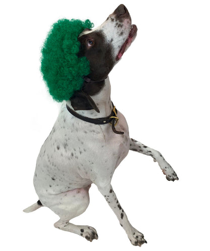 Green Pet Afro Wig