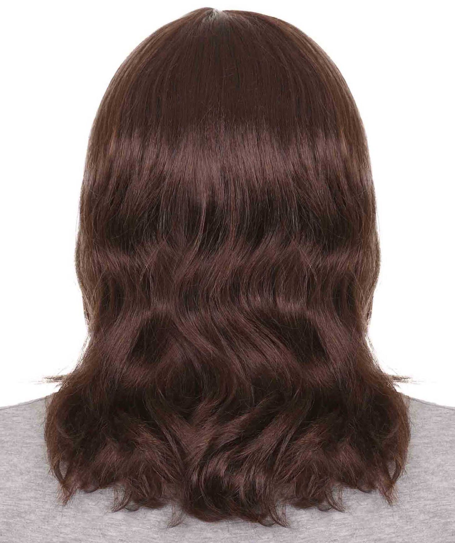 Hollywood Mens Rocker Wig