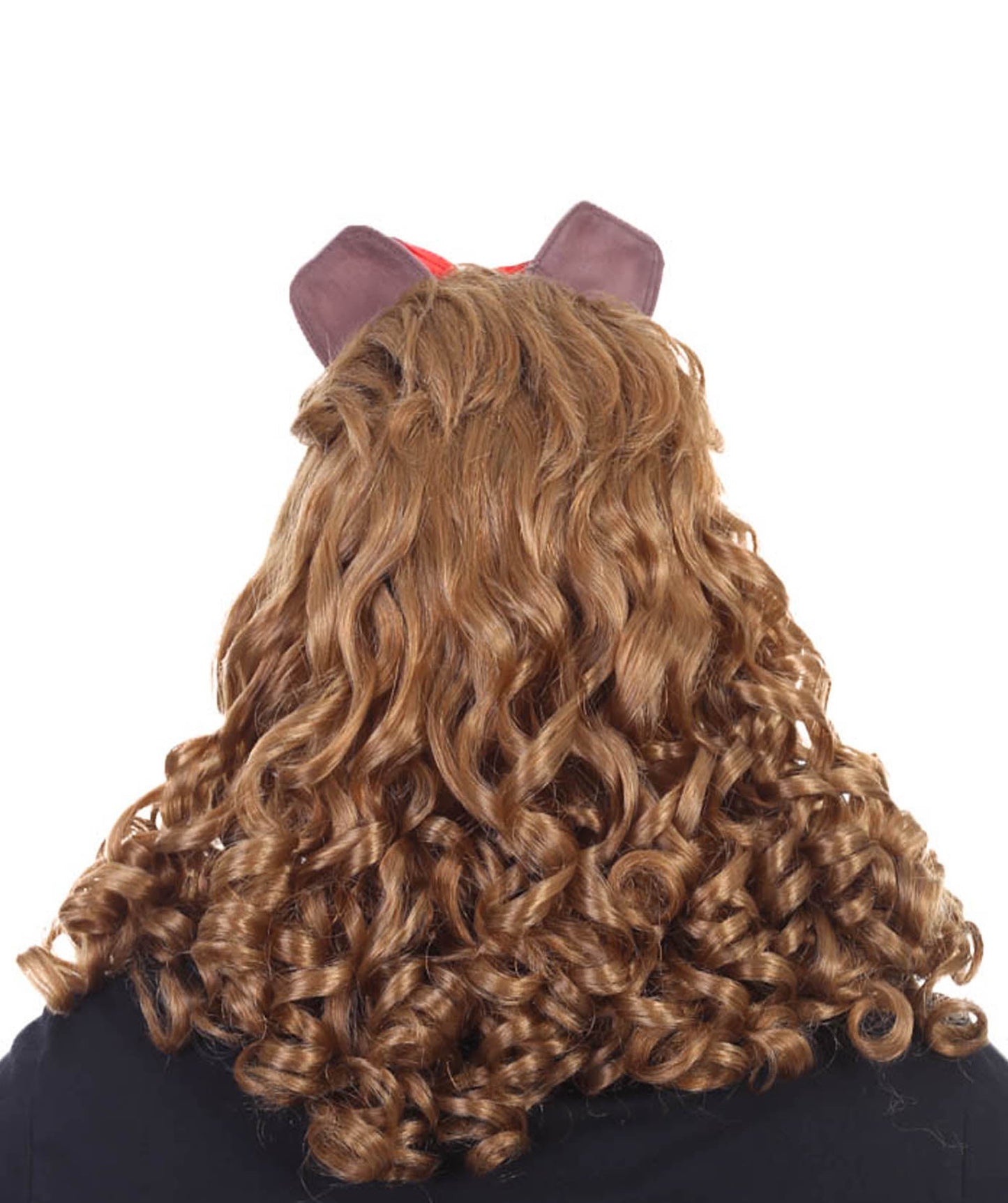 Lion Wig Brown