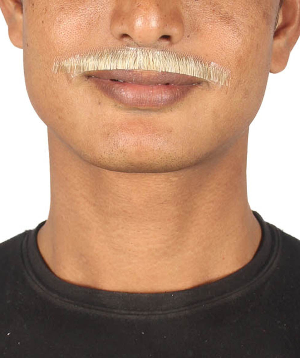 Brush Style Mustache