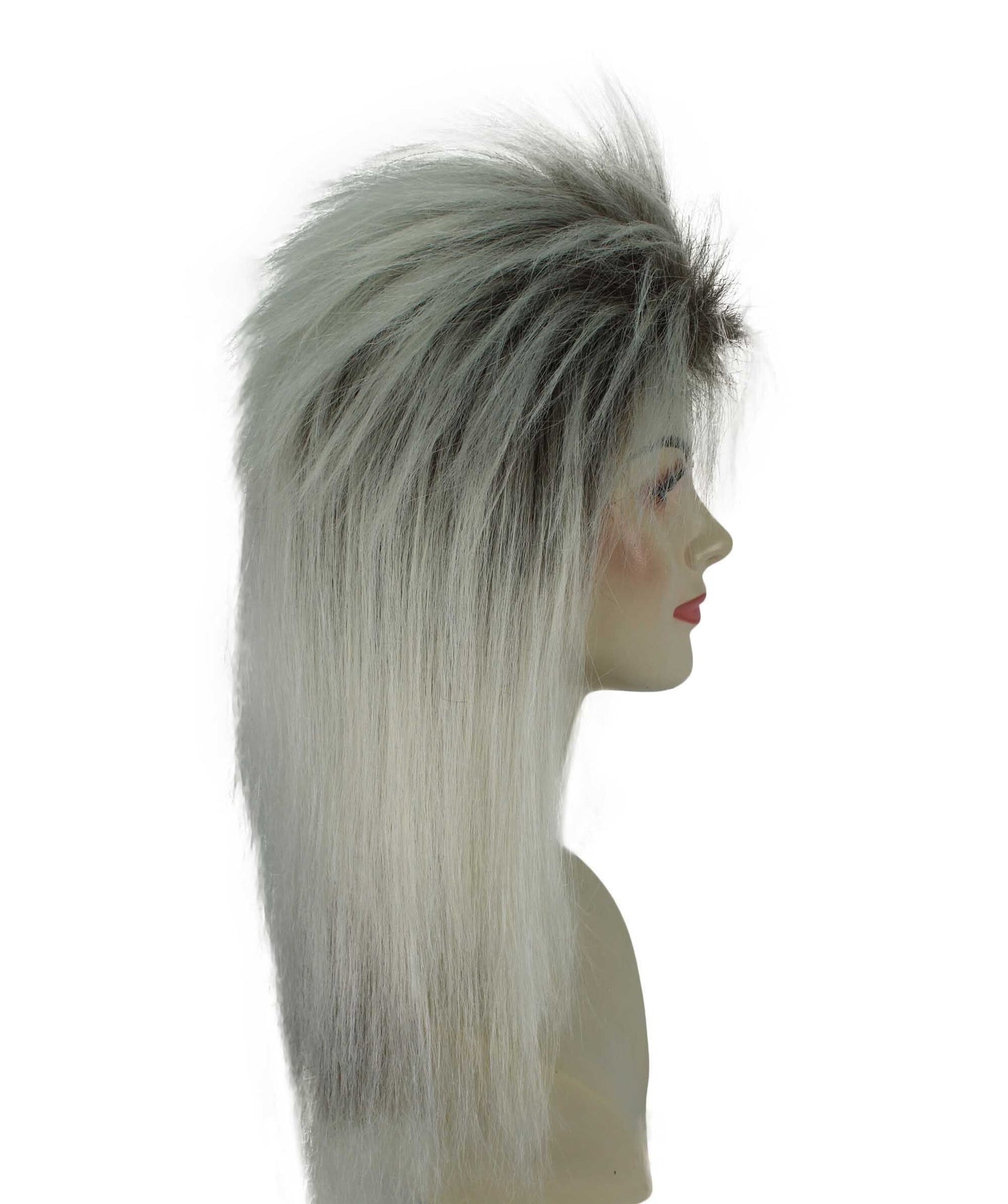 Tina Turner Wig